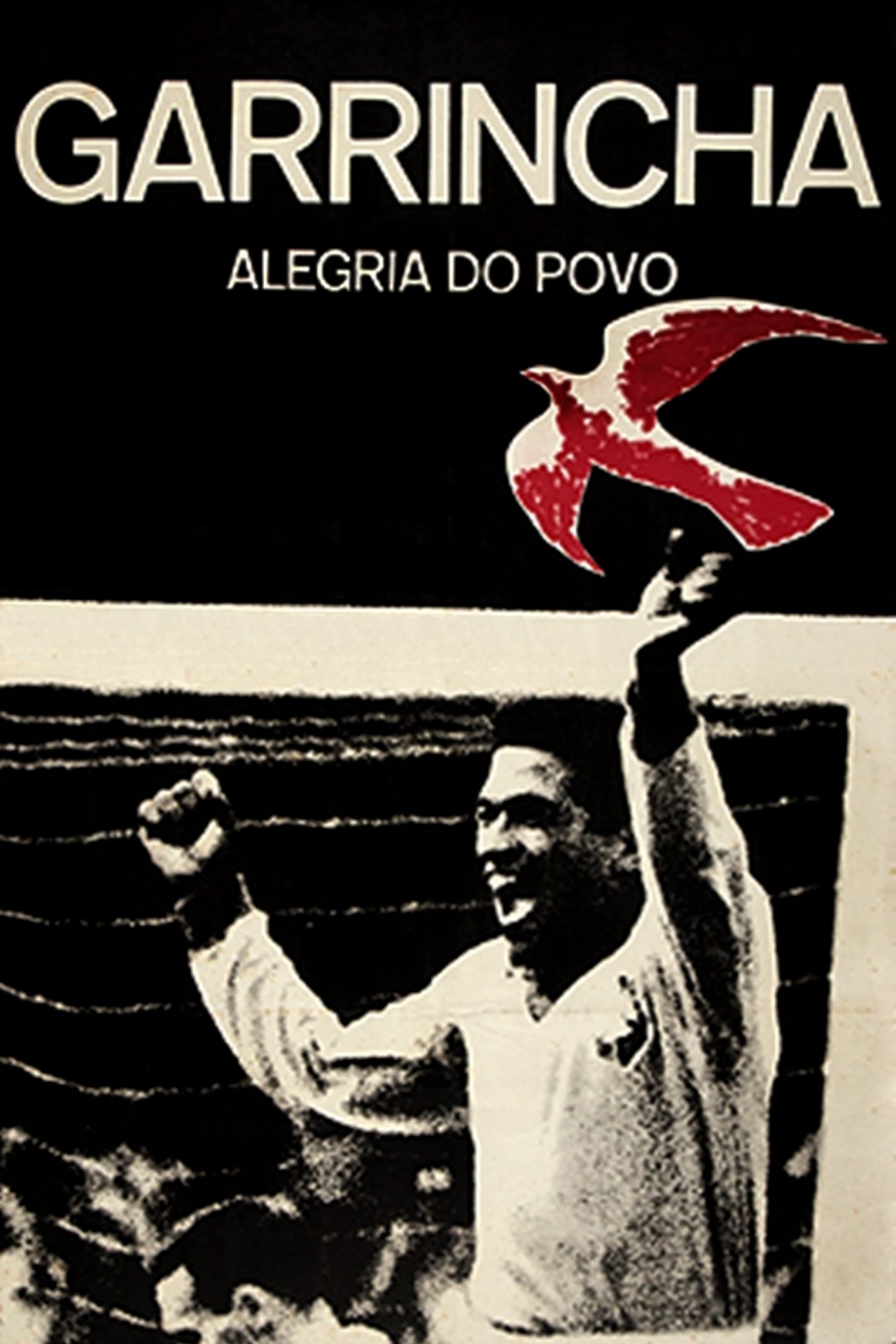 مشاهدة فيلم Garrincha: Joy of the People مترجم بدون اعلانات - بوستر
