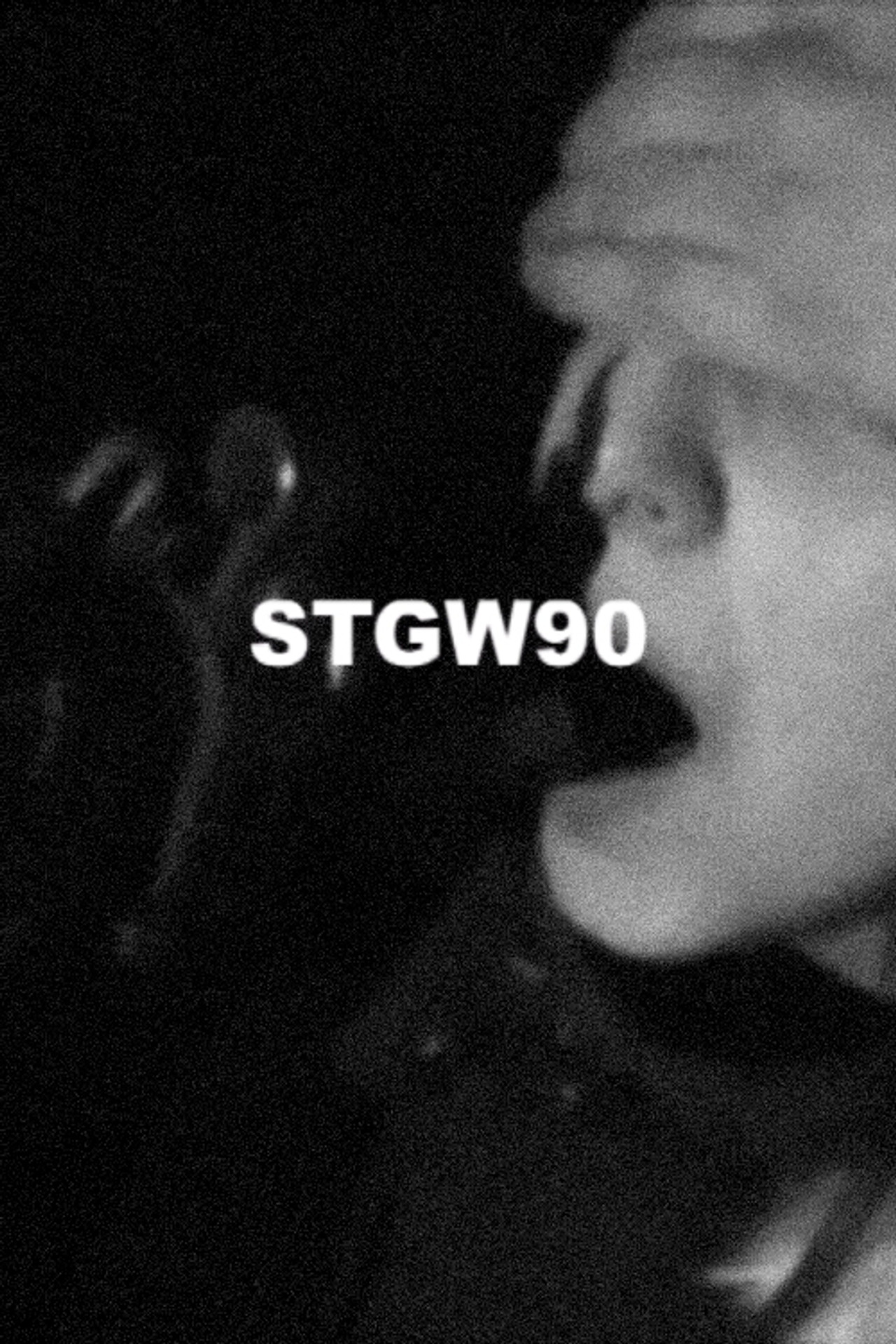 STGW90 filmaffisch