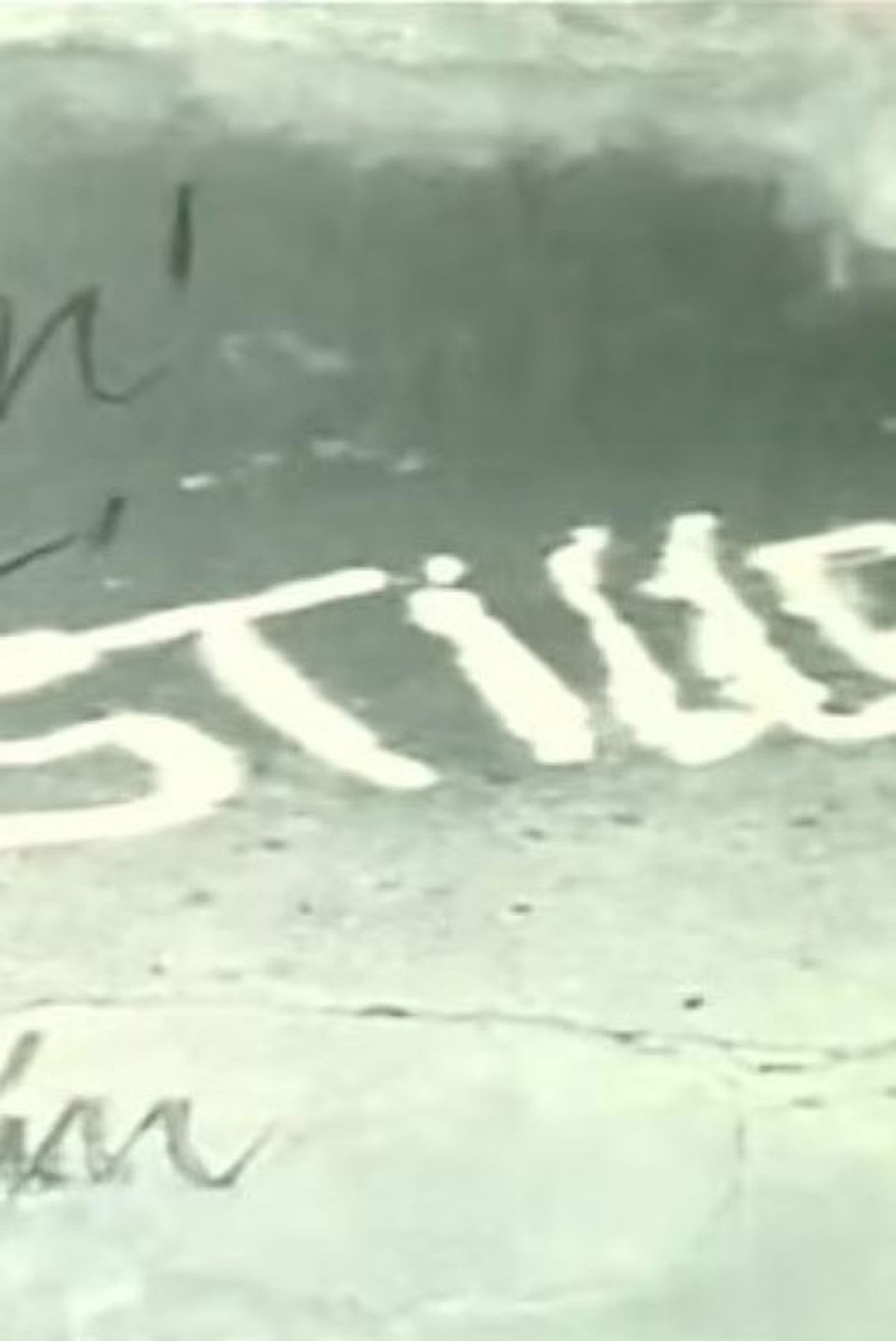 "Kino 81" - Stillness, a film magazine by film critics Backdrop