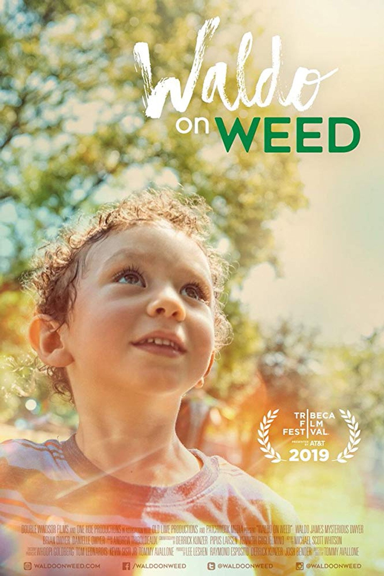 Waldo on Weed filmaffisch