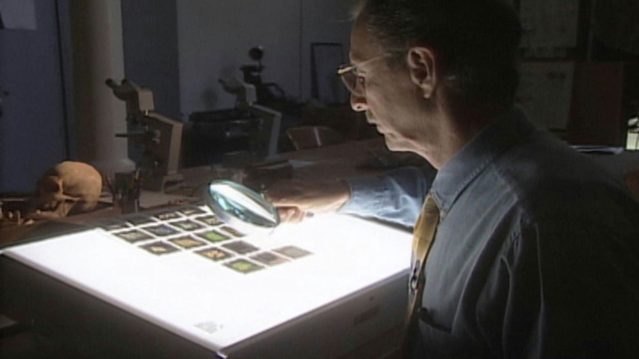 Les Nouveaux Detectives — Révélations d’outre-tombe