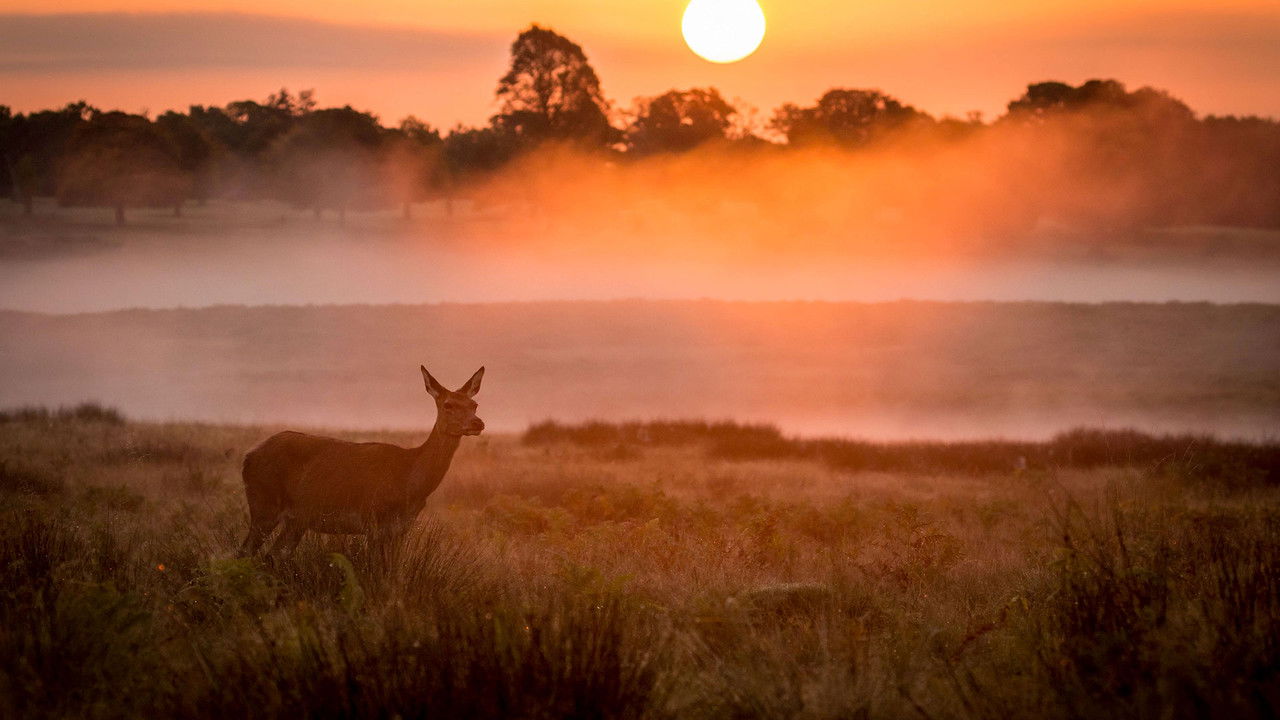 Autumnwatch — Épisode 1