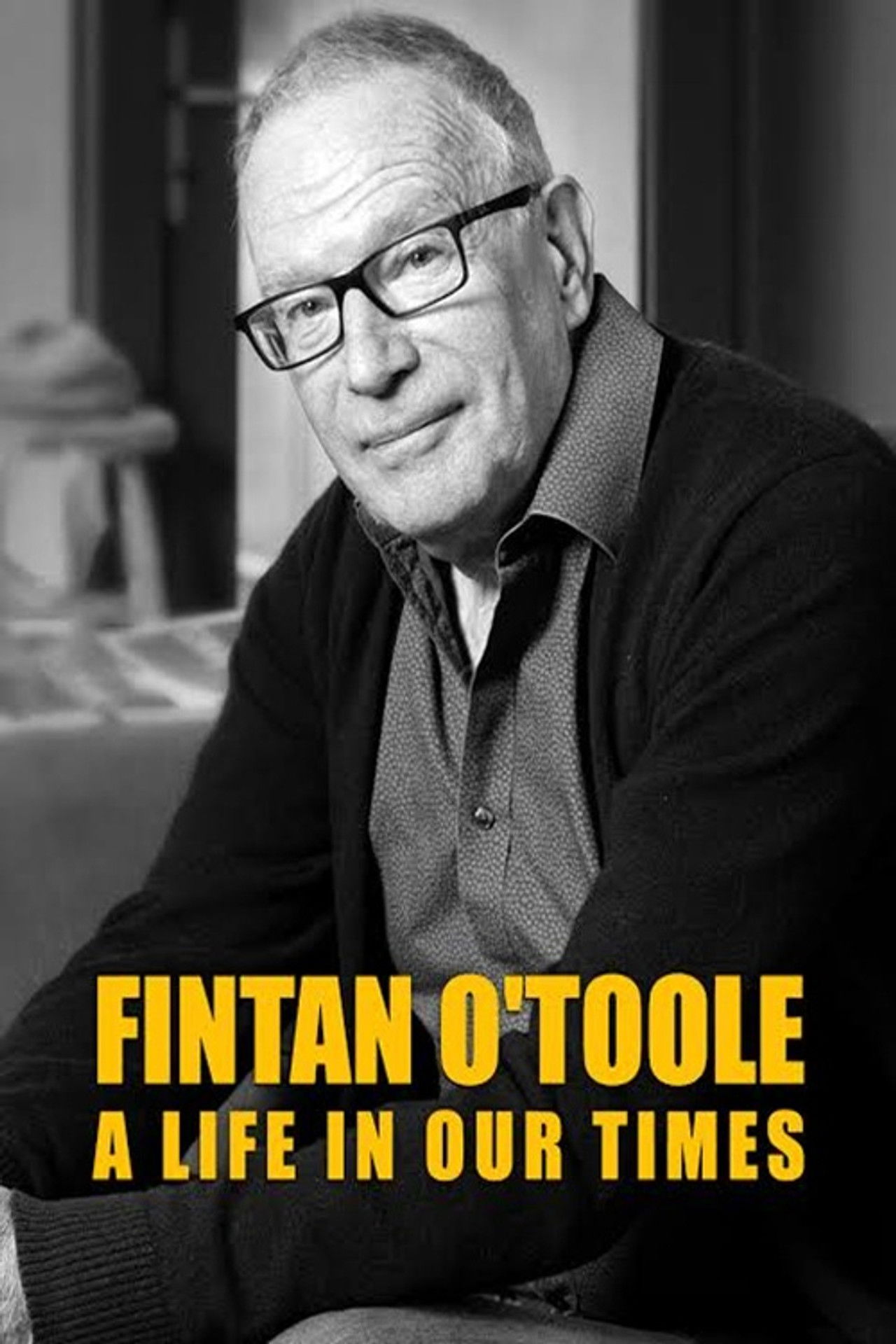 Fintan O'Toole: A Life in Our Times Backdrop