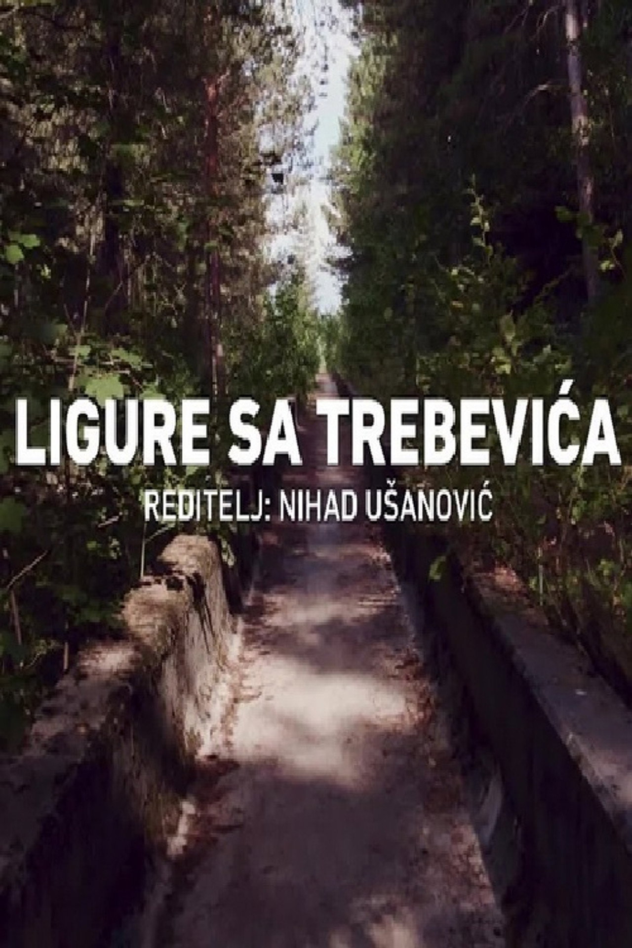Ligure sa Trebevića filmaffisch