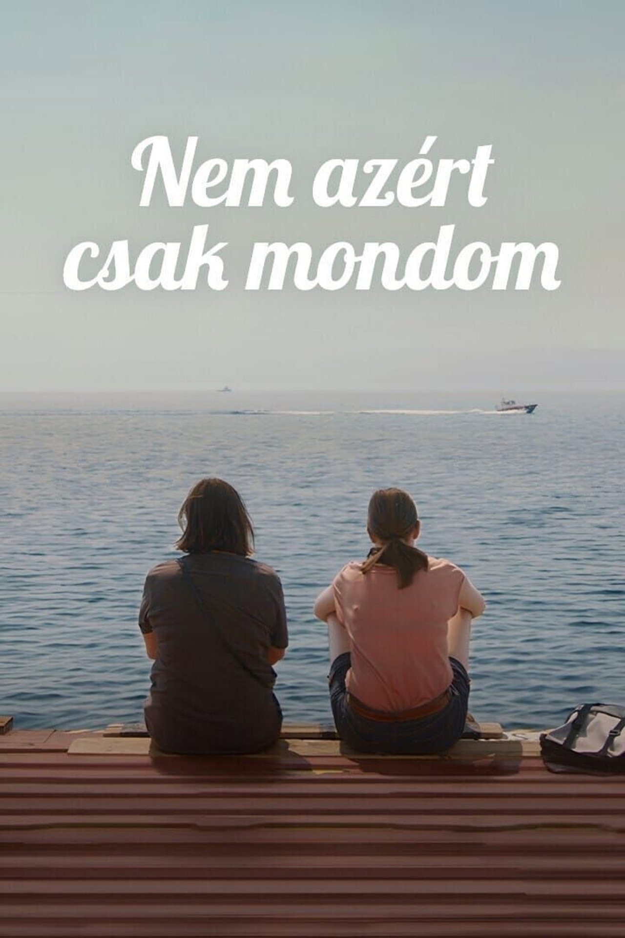 Nem azért, csak mondom – plakát 3