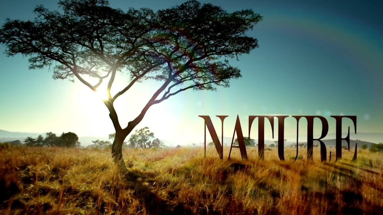 Nature - Season 6 Episode 2 : Amazonia: A Burning Question