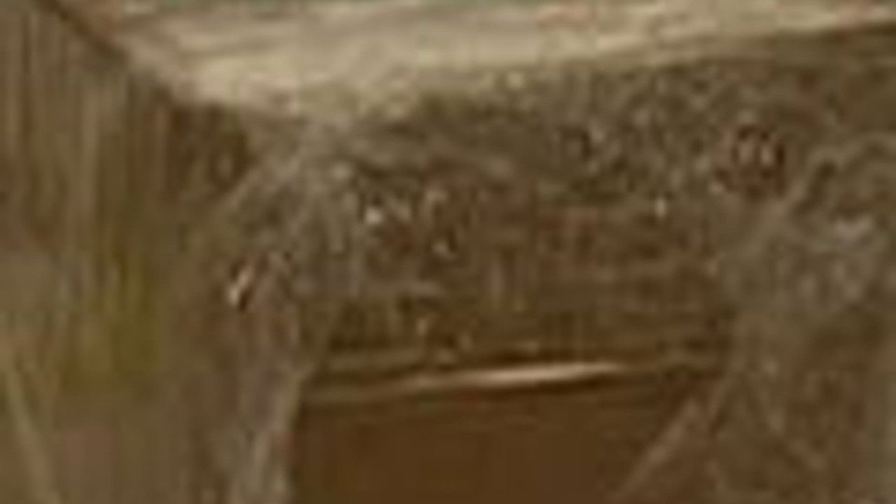 传奇故事 — Épisode 39