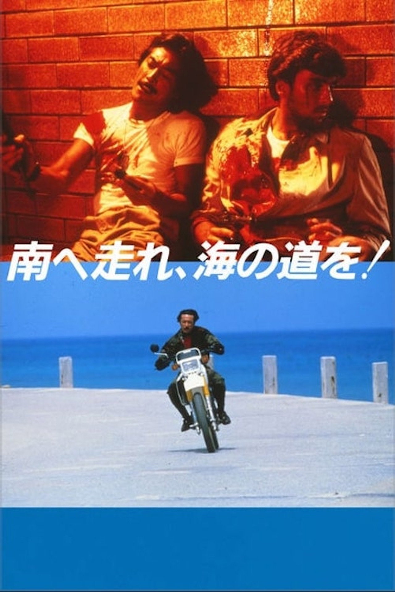South to the Horizon