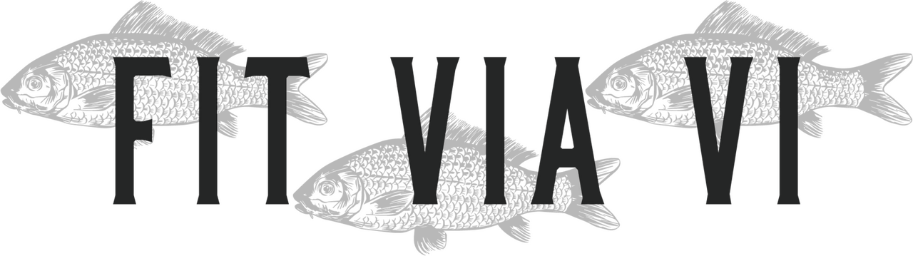 Fit Via Vi