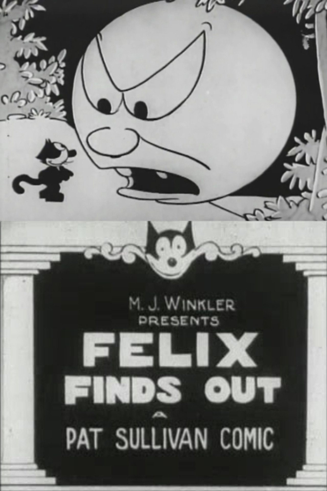 Felix Finds Out filmaffisch