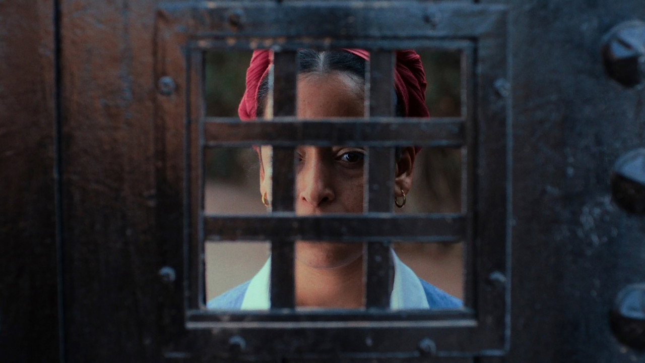 The Roses of Marrakesh still 3