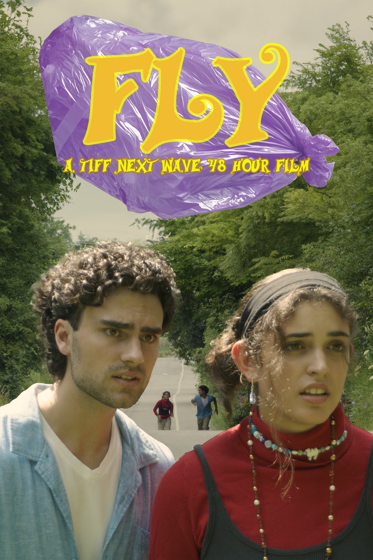 Fly poster