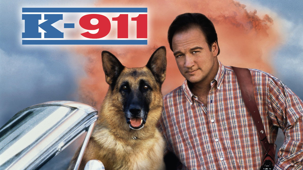 K-911 backdrop