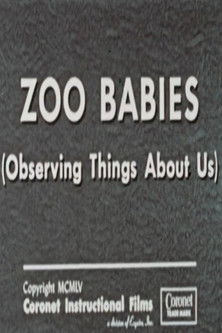 Zoo Babies (Observing Things About Us) poster