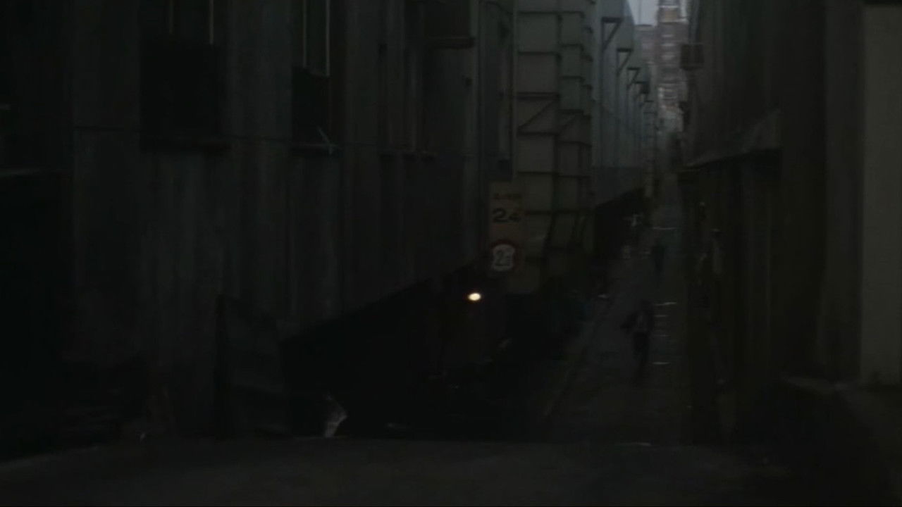 King of the Night Life backdrop