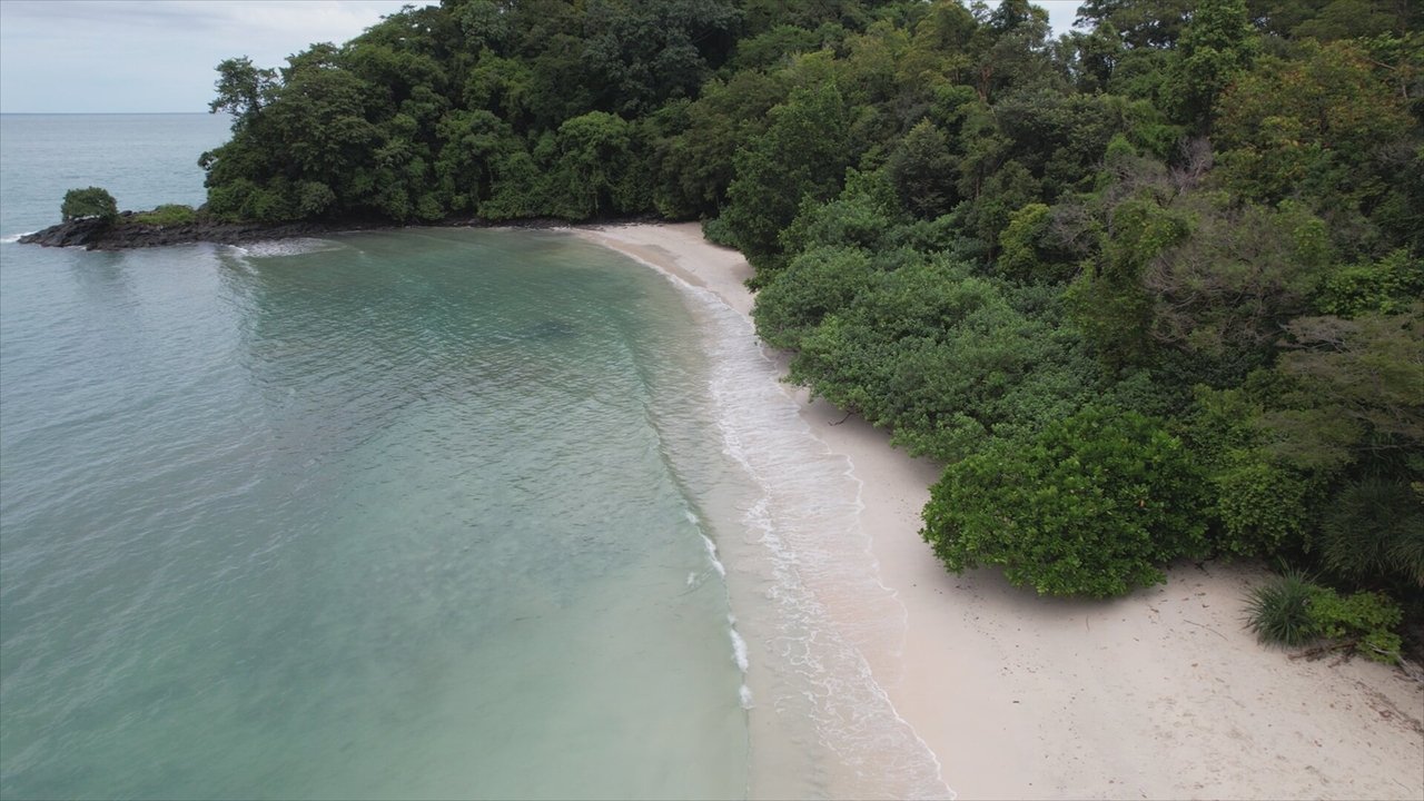 Robinson - Season 23 Episode 43 : Episode 43