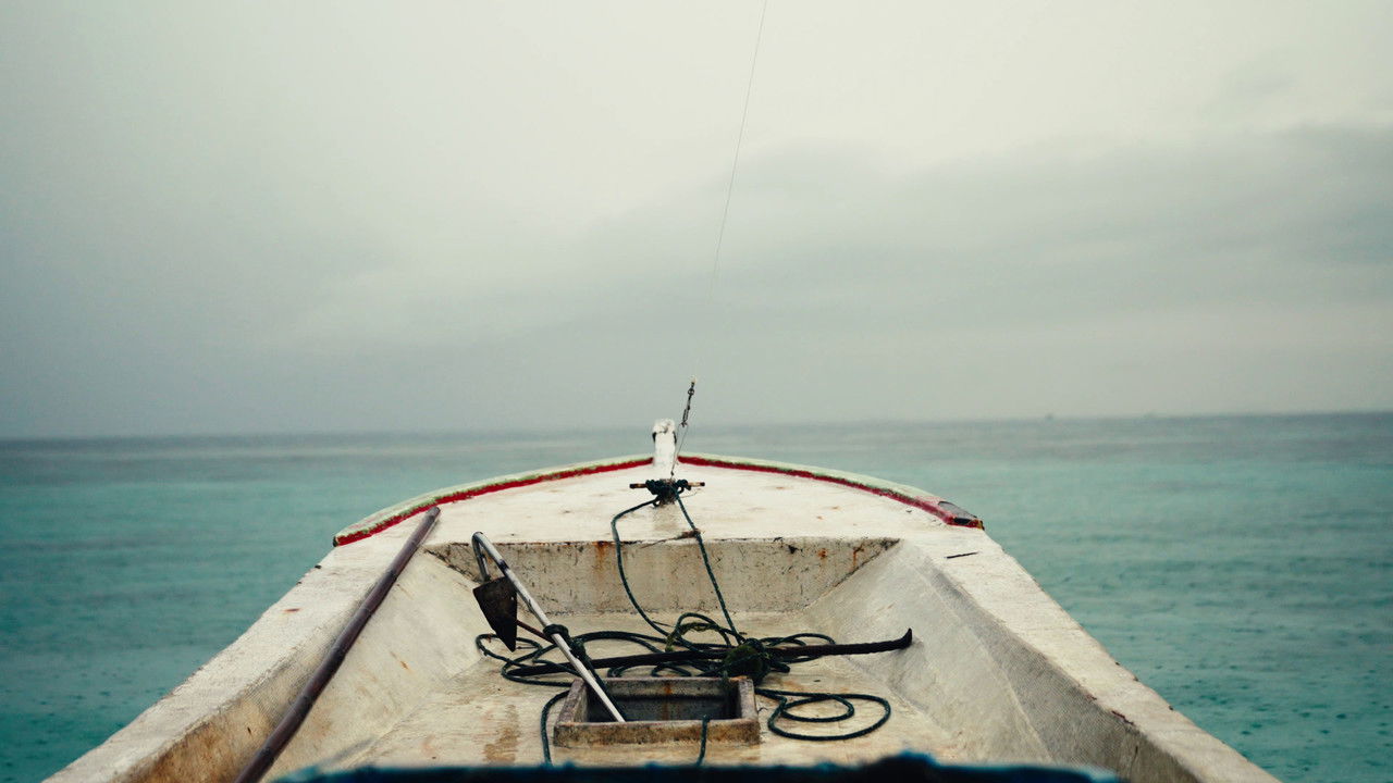 E C H O E S   D E   F A D I N G   I S L A N D backdrop