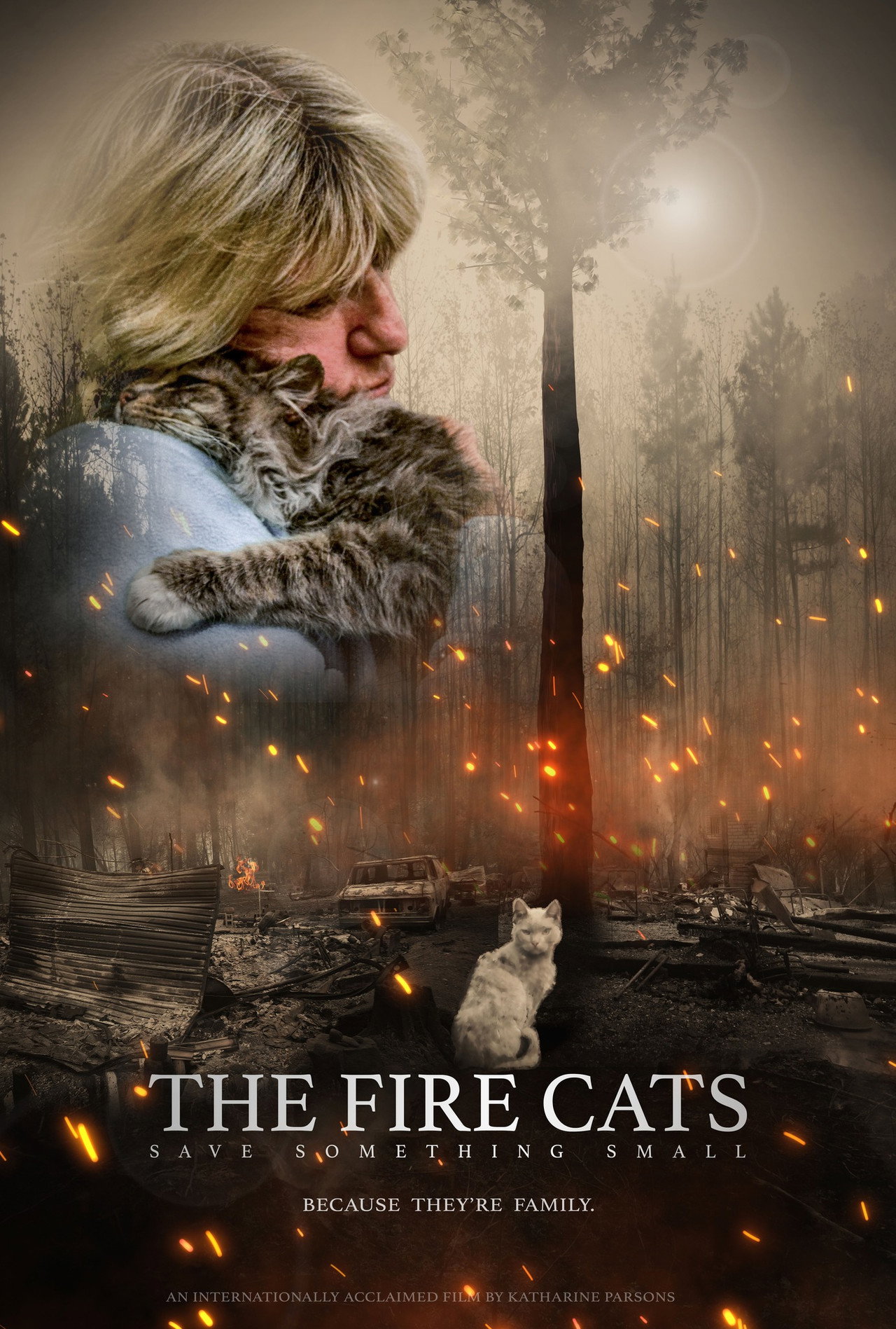 The Fire Cats: Save Something Small