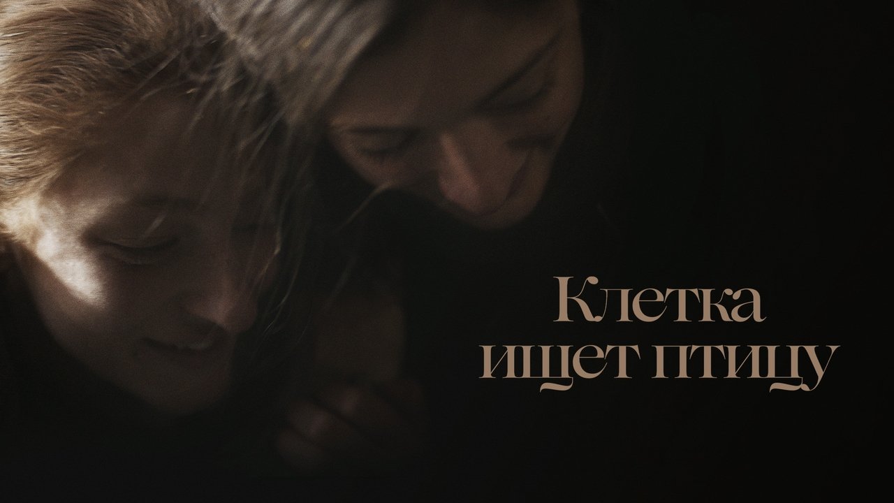 The Cage is Looking for a Bird