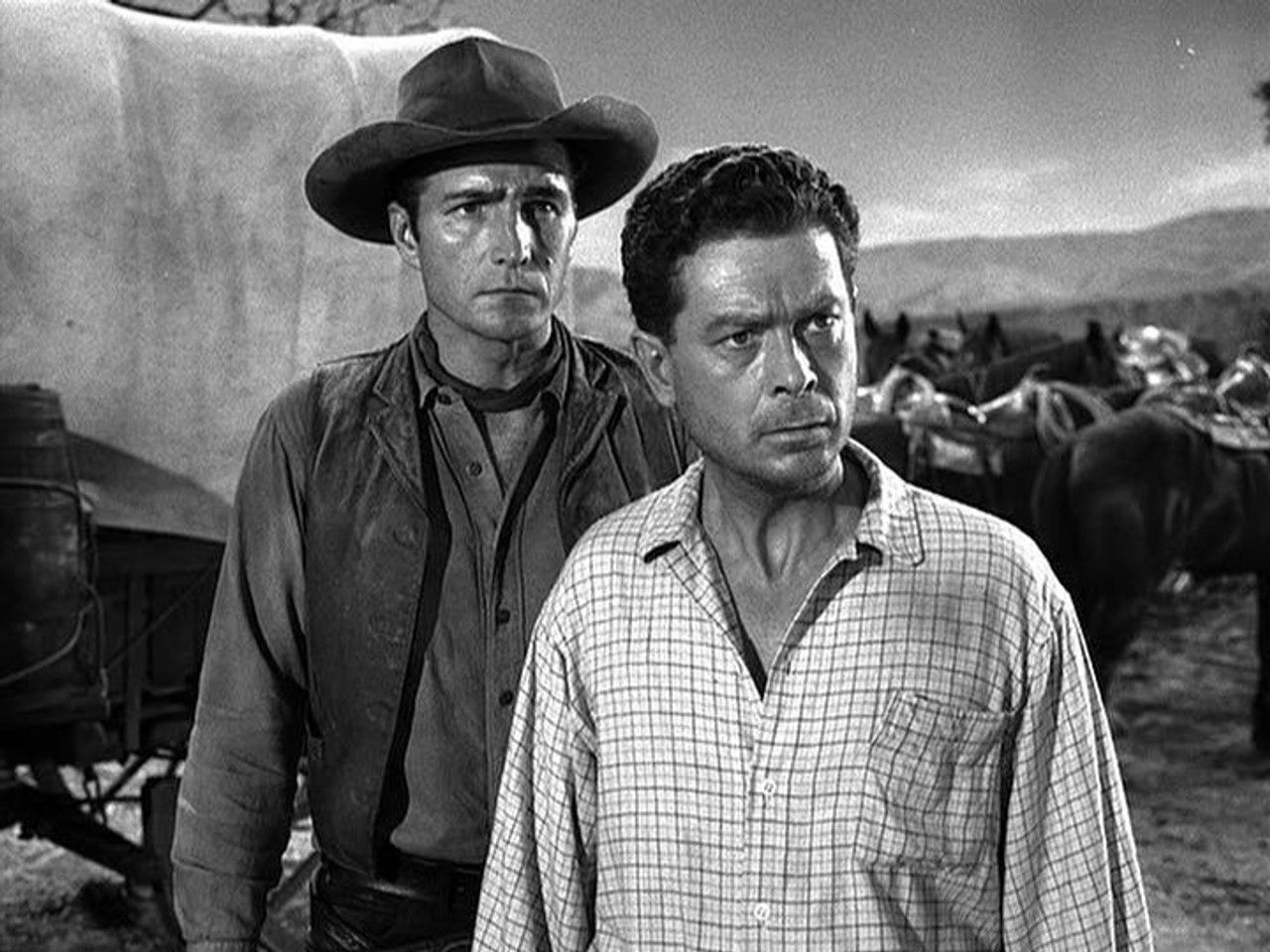 Rawhide — Le mystérieux peintre