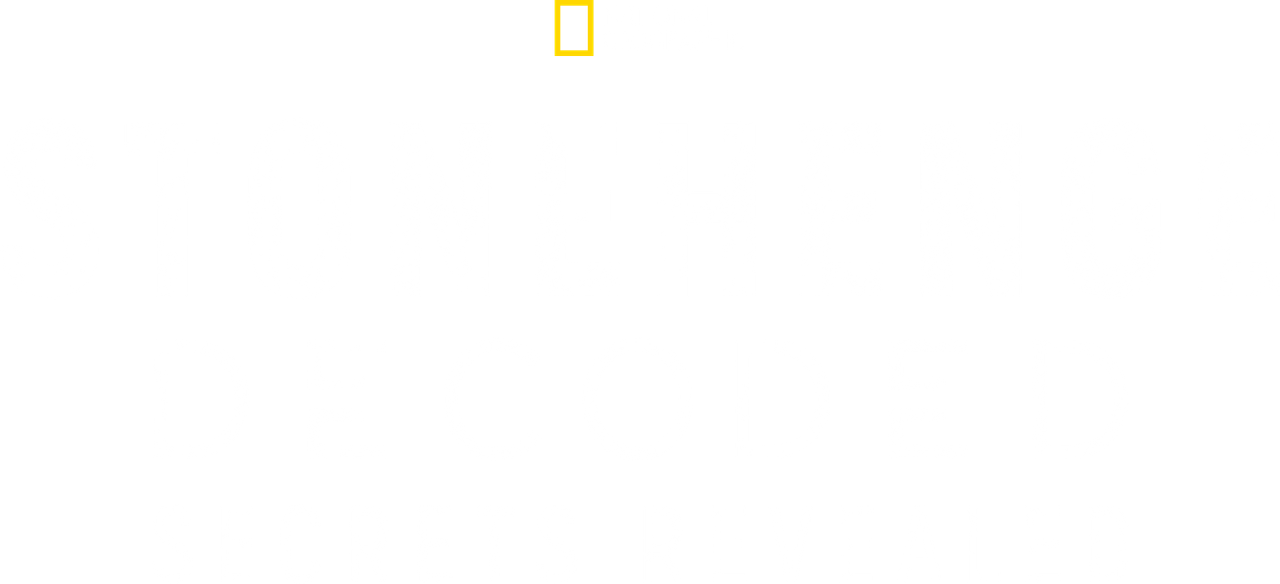 Stonehenge: Decoded