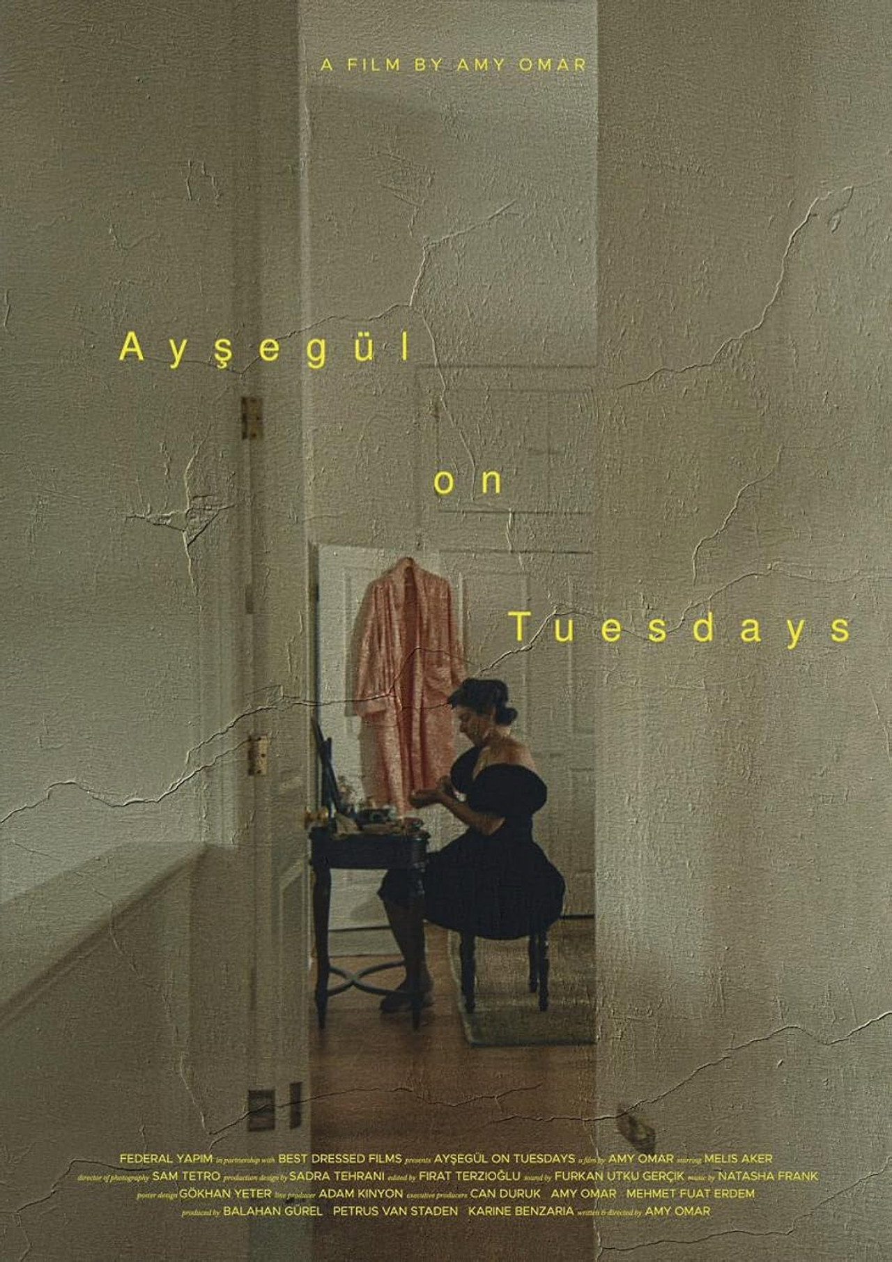 Ayşegül on Tuesdays filmaffisch