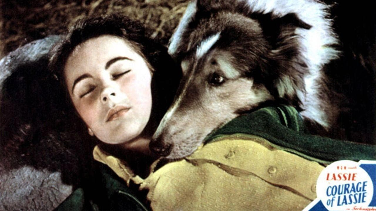 Courage of Lassie Backdrop Image