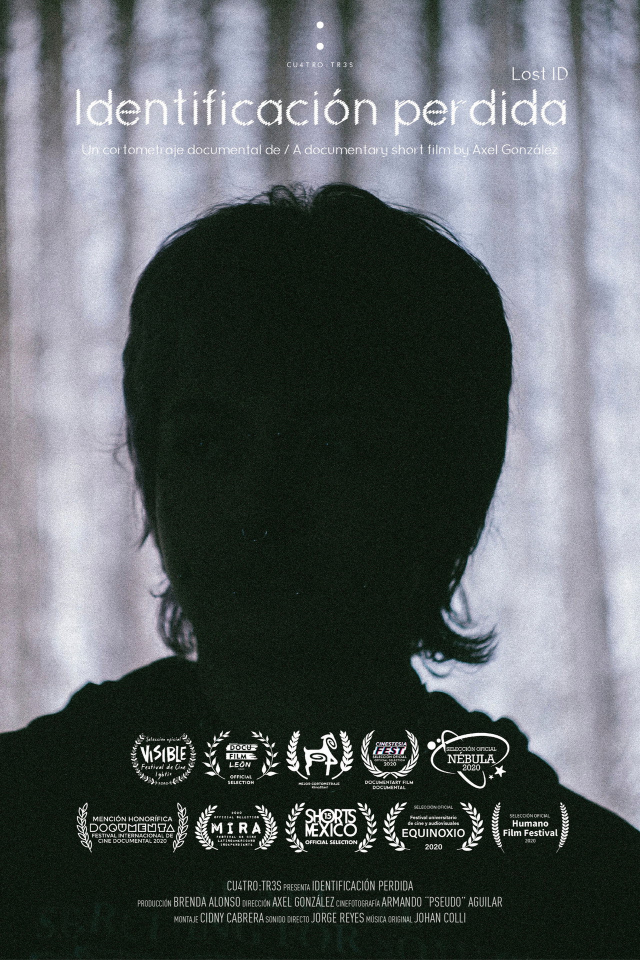 Identificación perdida filmaffisch
