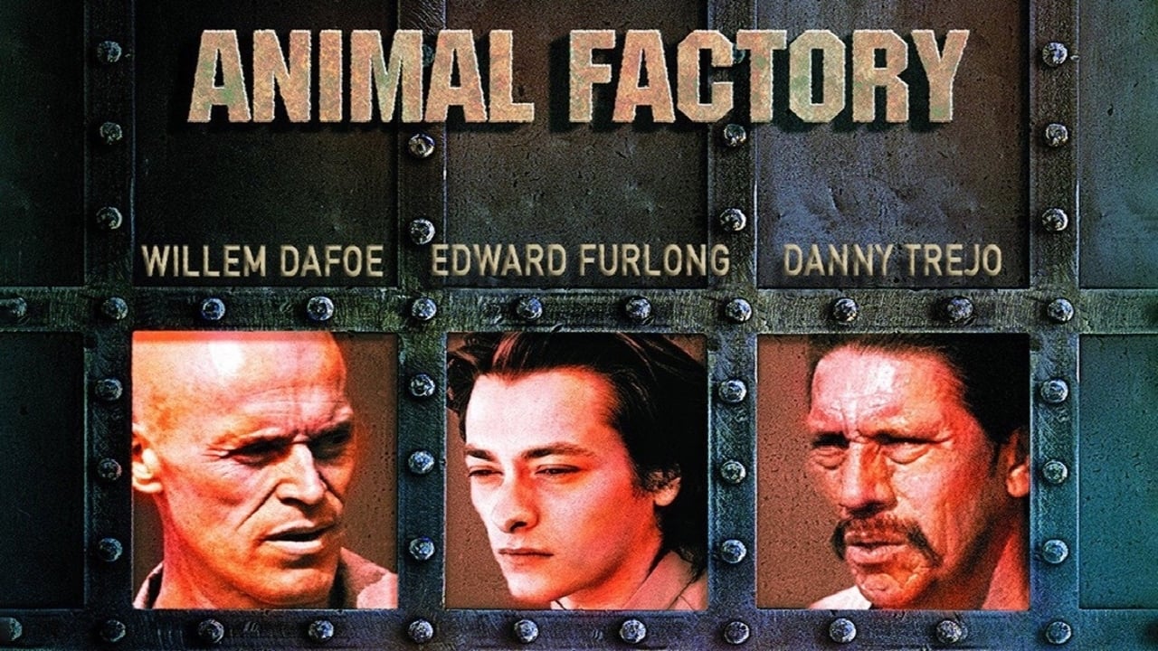 Animal Factory background