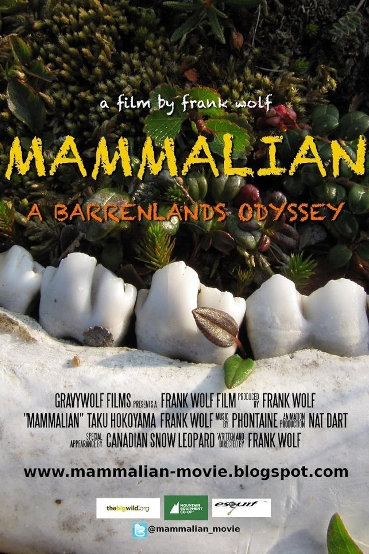 Mammalian Backdrop