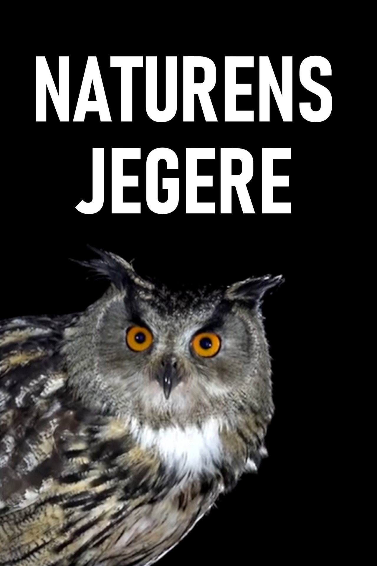 Nature's hunters (2020)