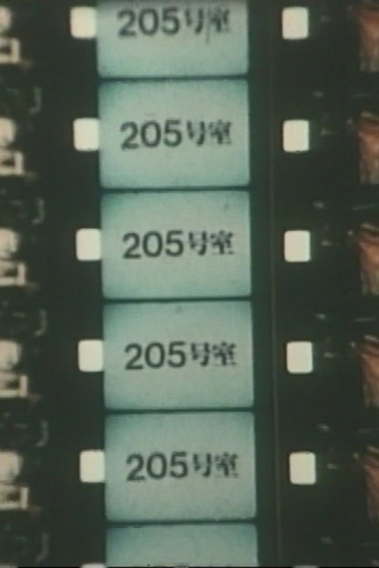 205号室 filmaffisch
