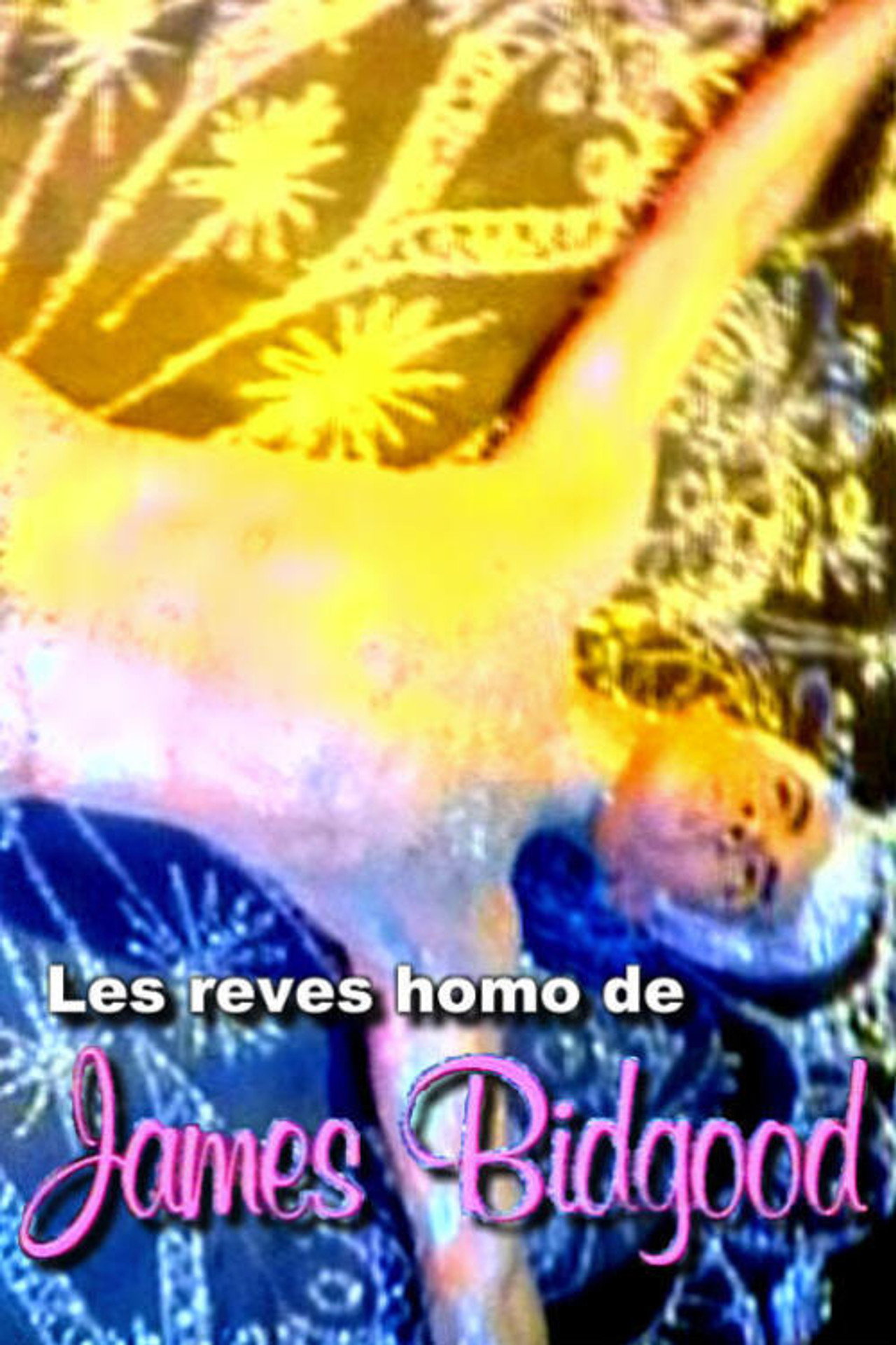 Les rêves homo de James Bidgood filmaffisch