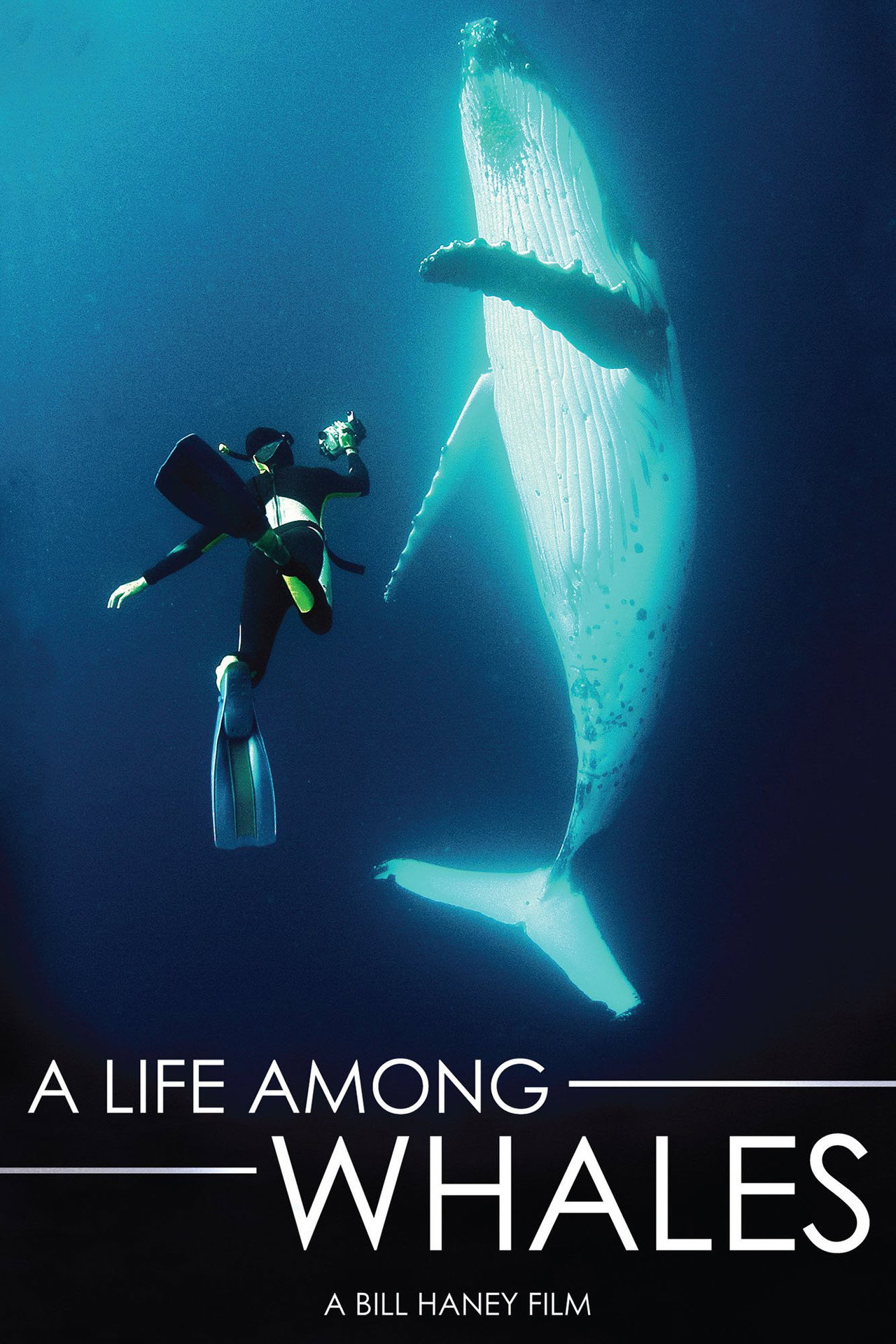 A Life Among Whales filmaffisch