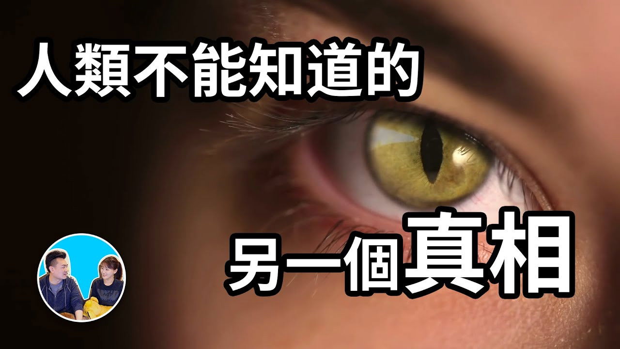 老高与小茉 — Épisode 237