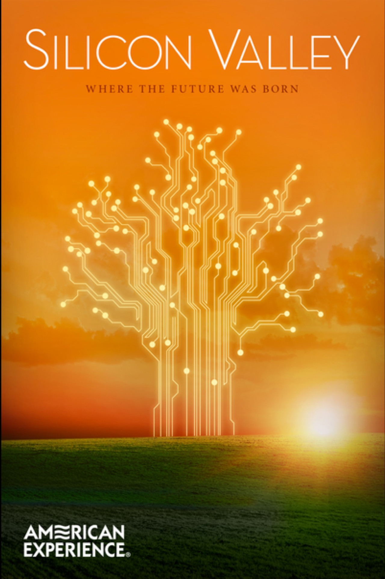 Silicon Valley Backdrop