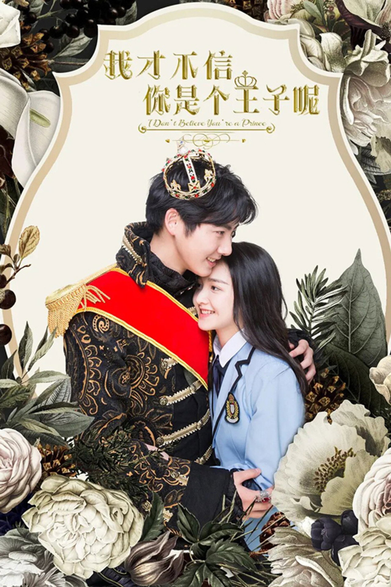 我才不信你是个王子呢 filmaffisch