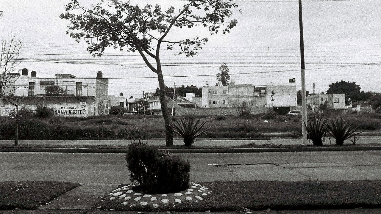 significantes, tres de cinco