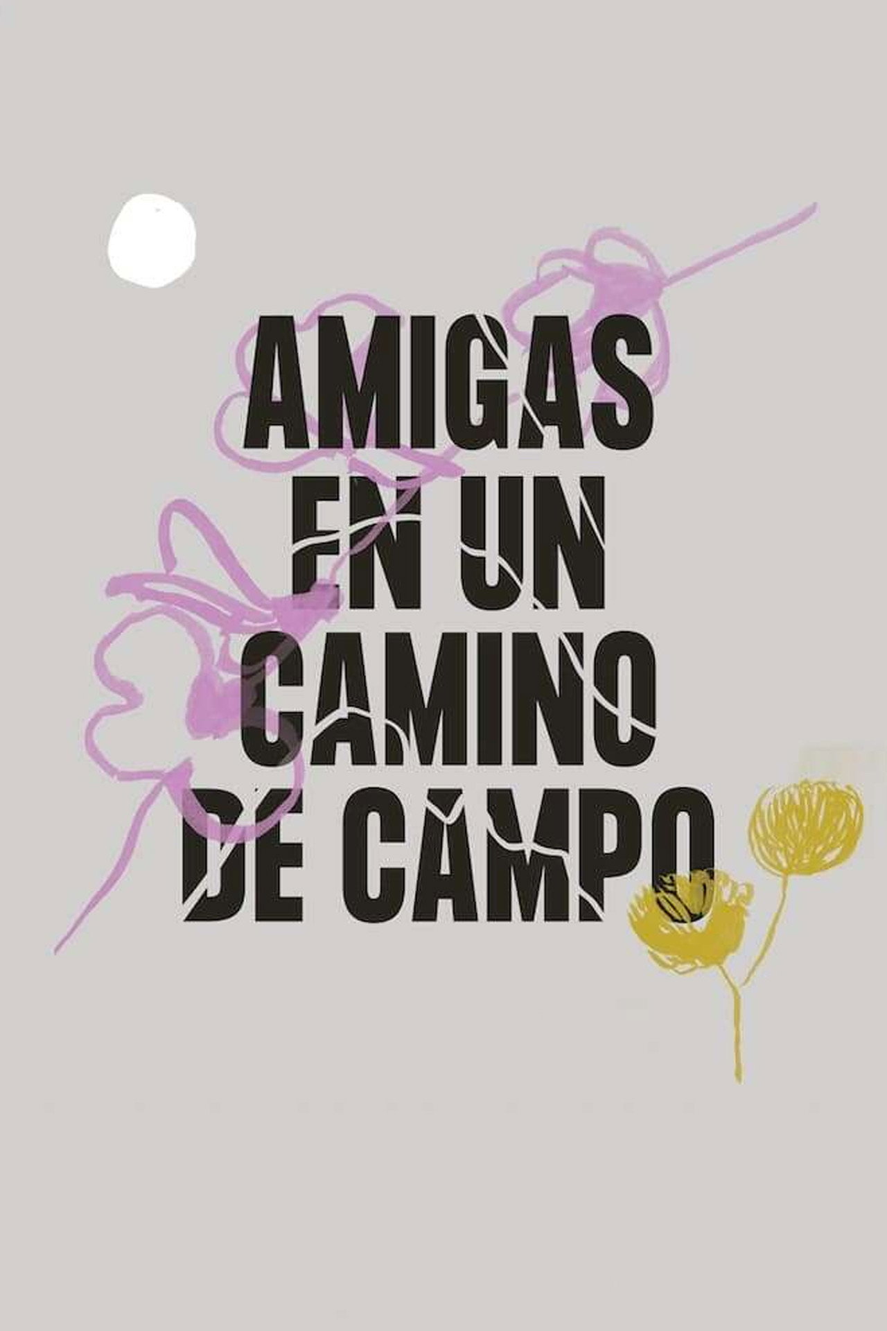 Amigas en un camino de campo filmaffisch