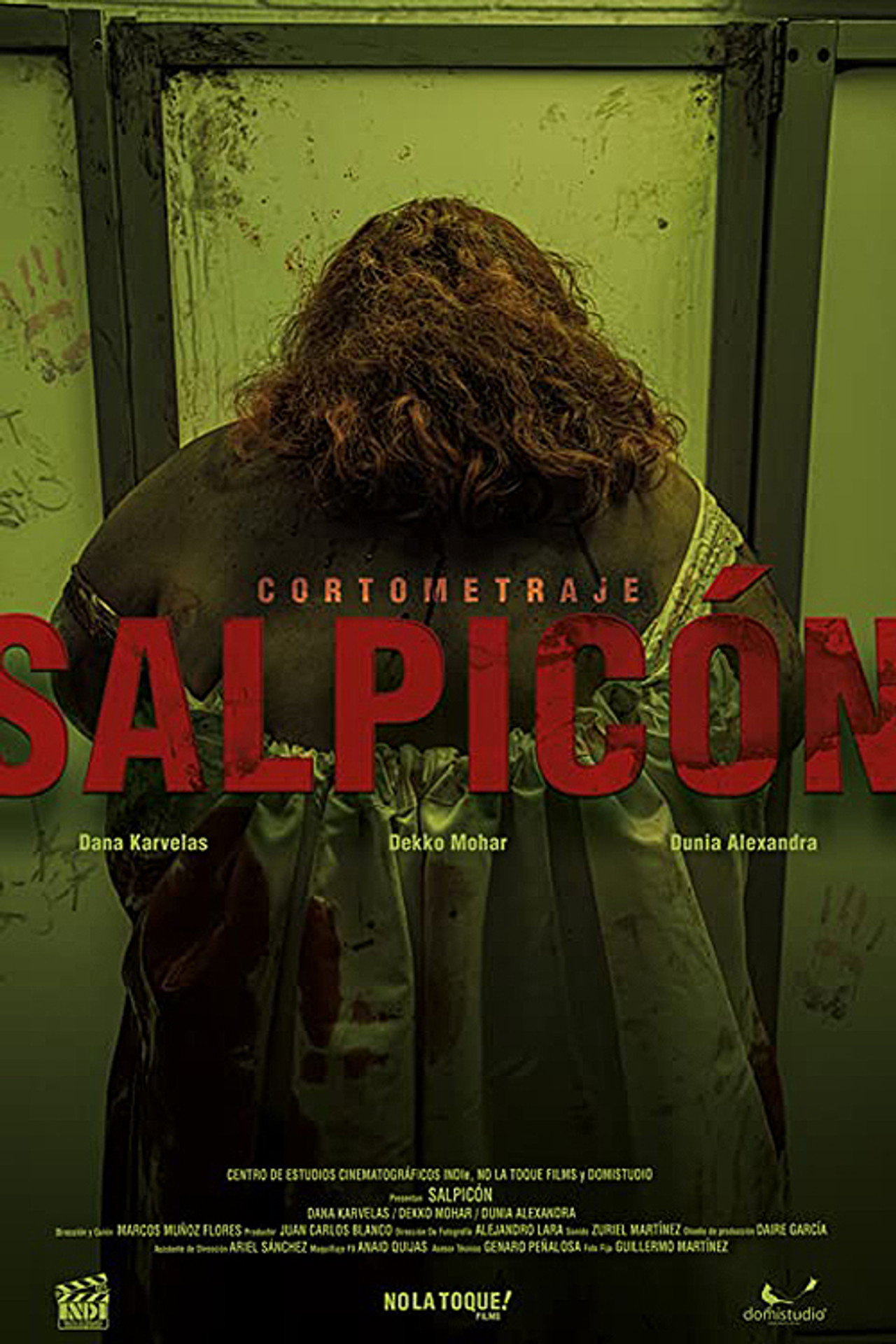 Salpicón filmaffisch