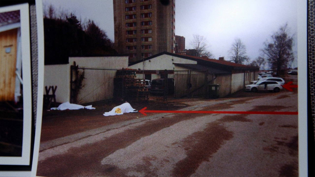 Svenska fall — Épisode 7