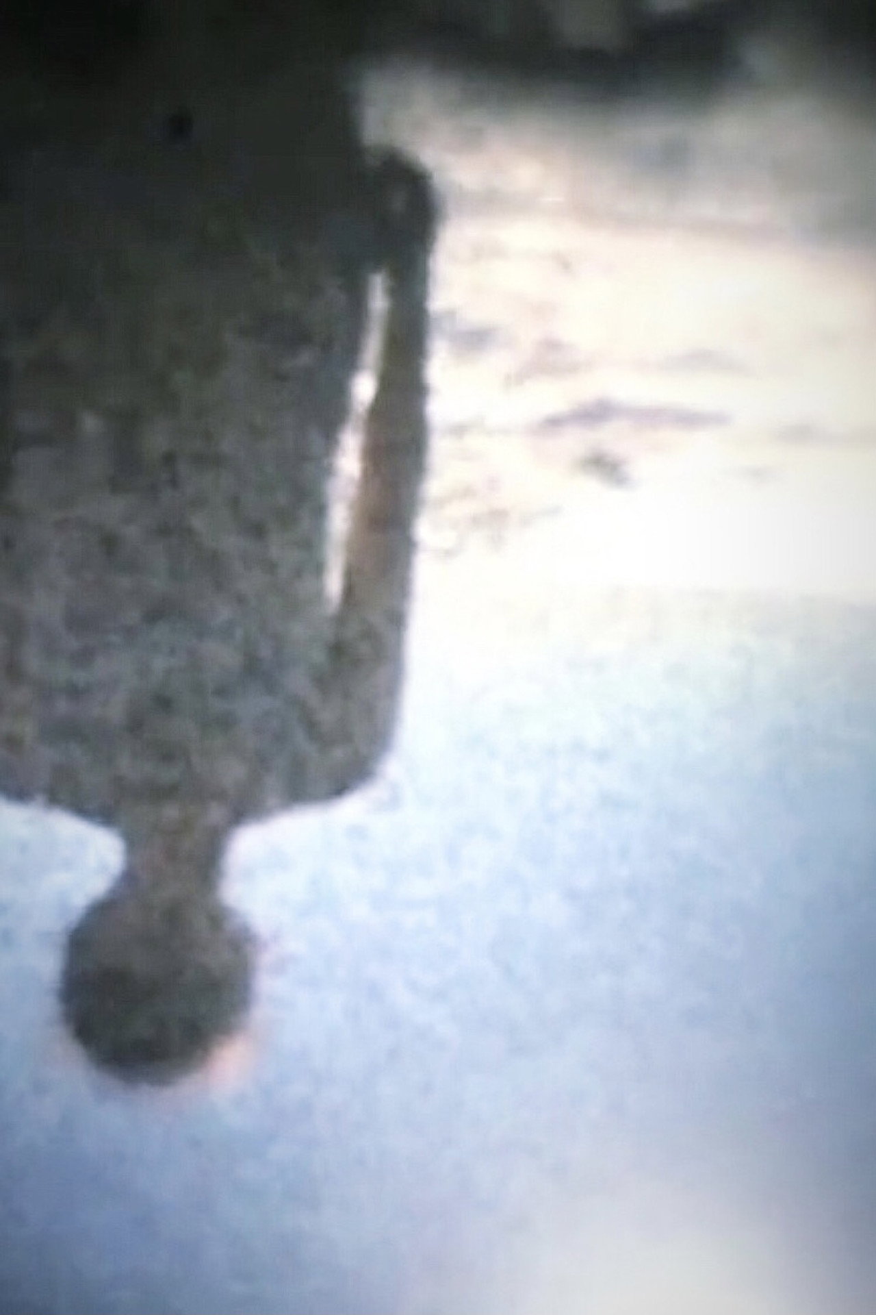 鏡の中 filmaffisch