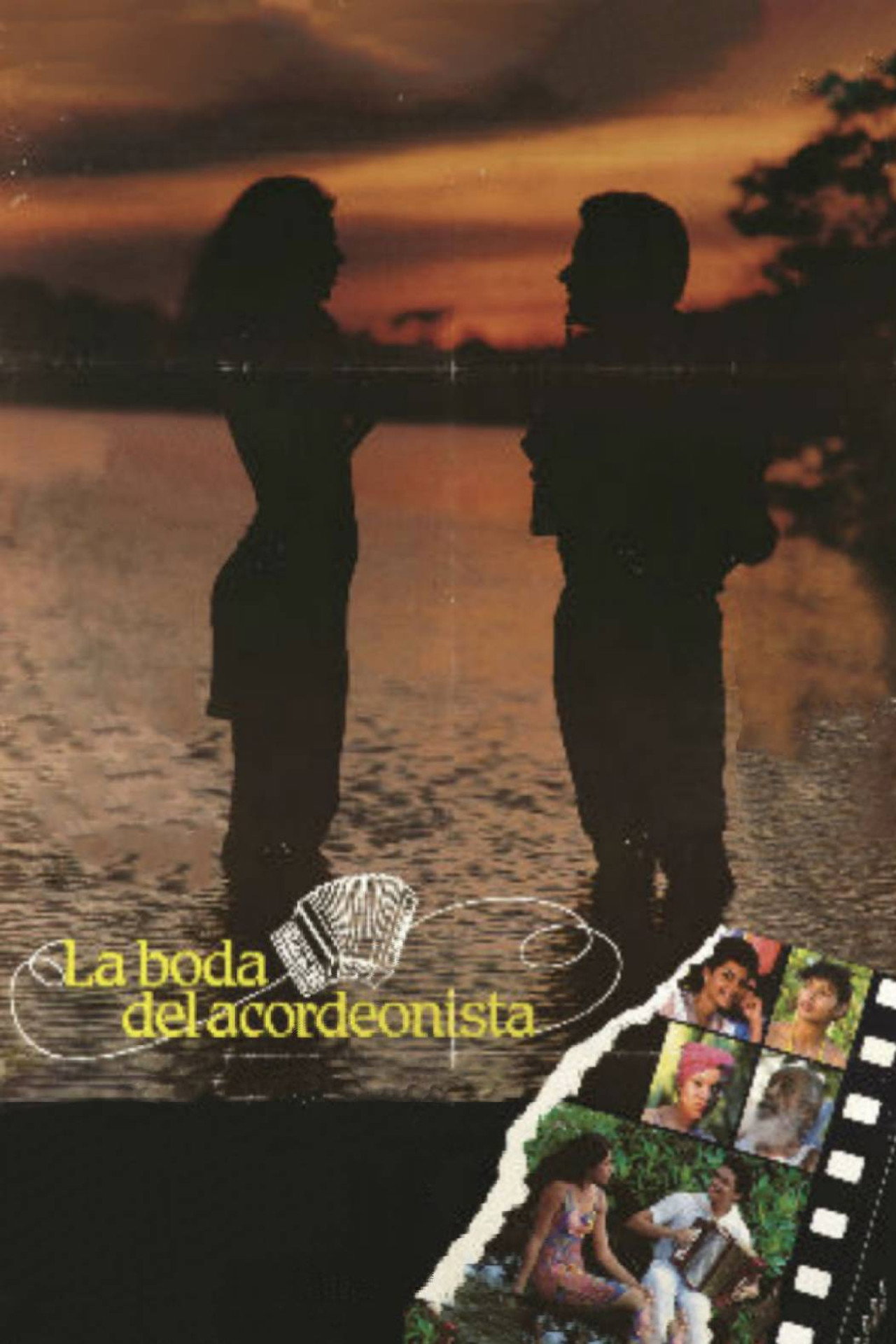 La boda del acordeonista filmaffisch