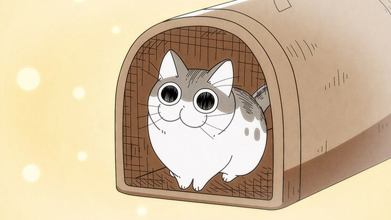 Nights with a Cat - Season 1 Episode 1 : Night 1: The Day a Cat Came to my House