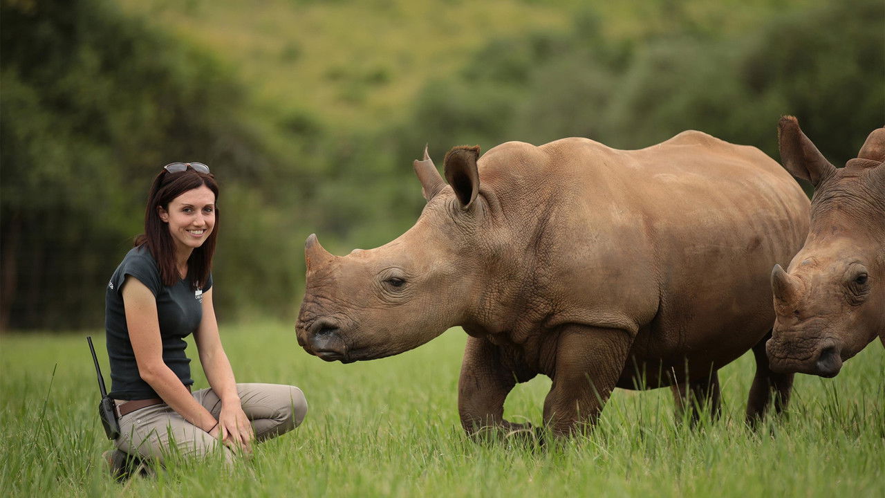 Work on the Wild Side — Épisode 4