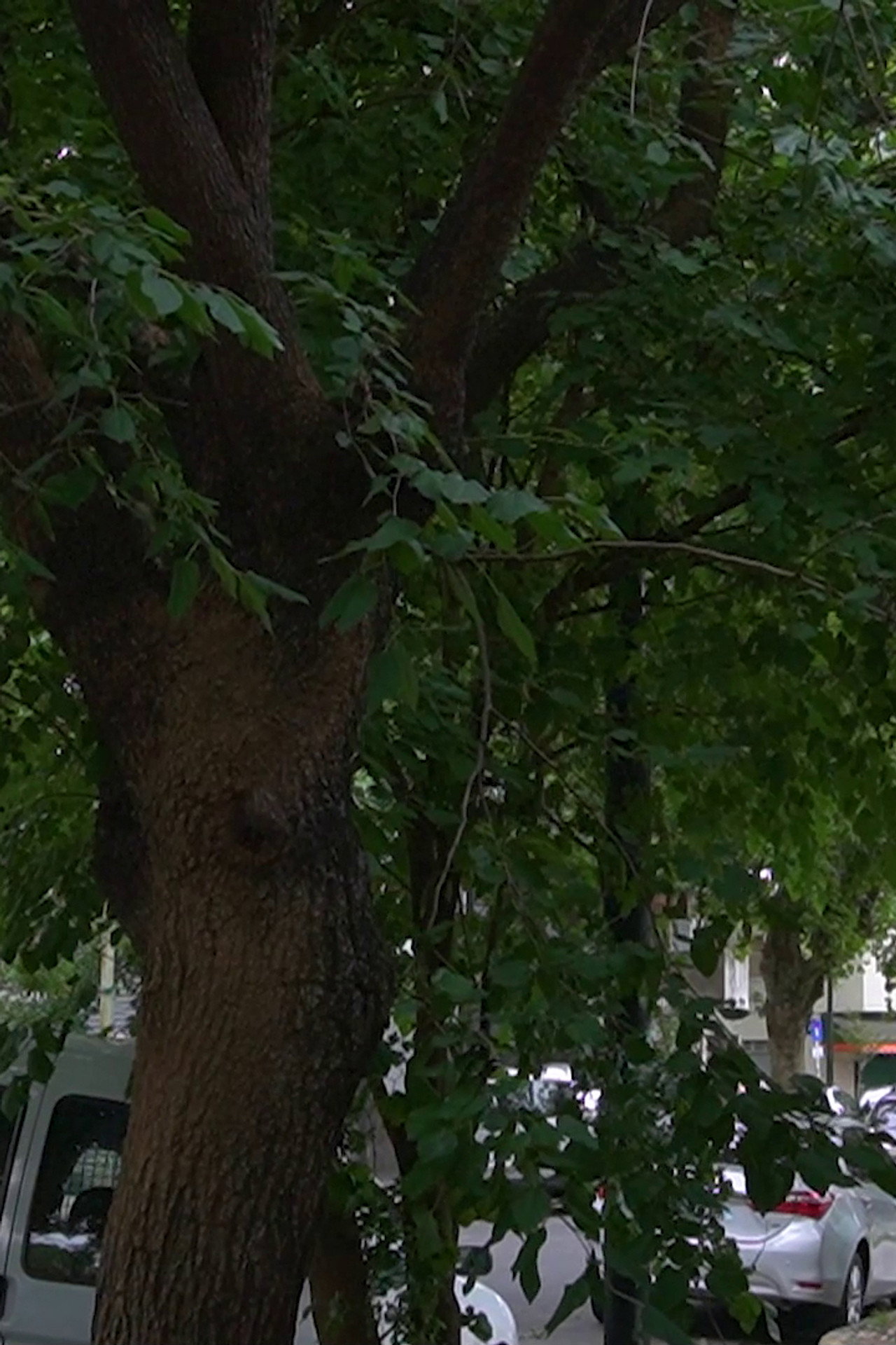 The Little Details Of Life Backdrop