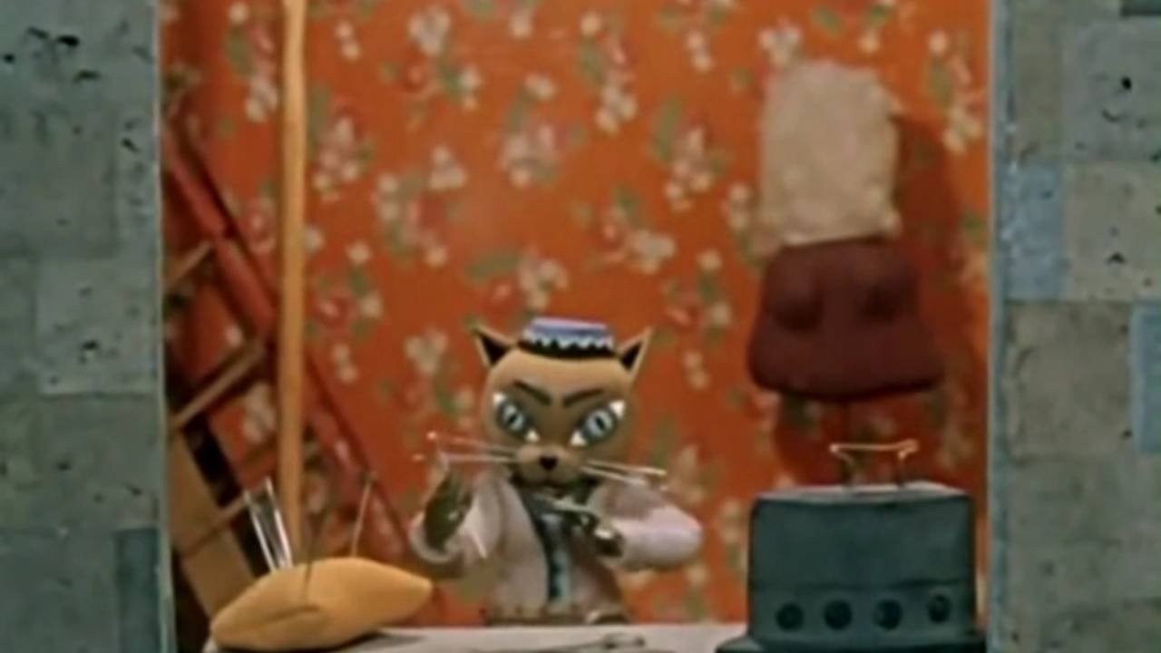 The Dog and the Cat