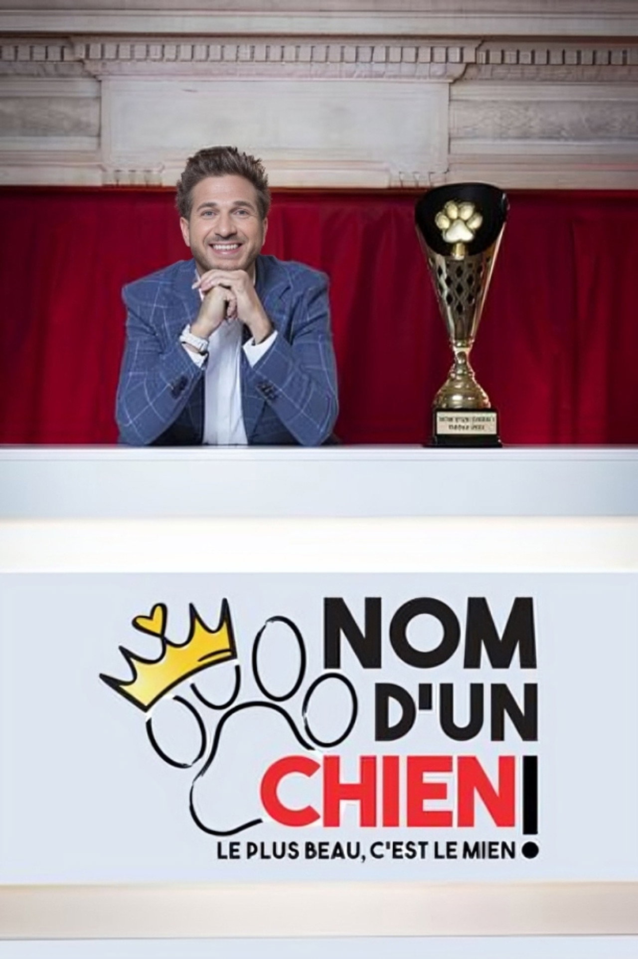 Nom d'un chien ! Le plus beau c'est le mien affisch
