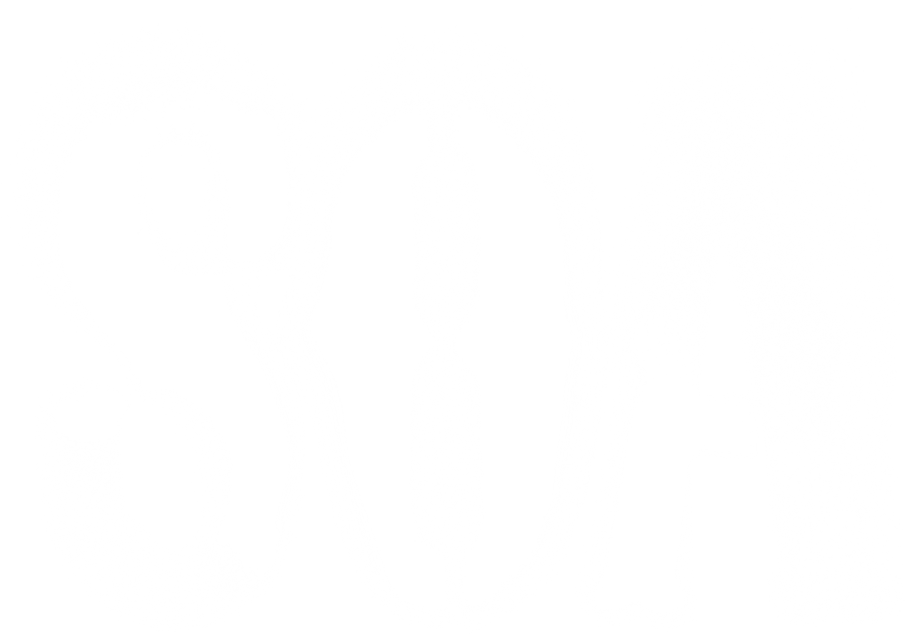 Сыны анархии