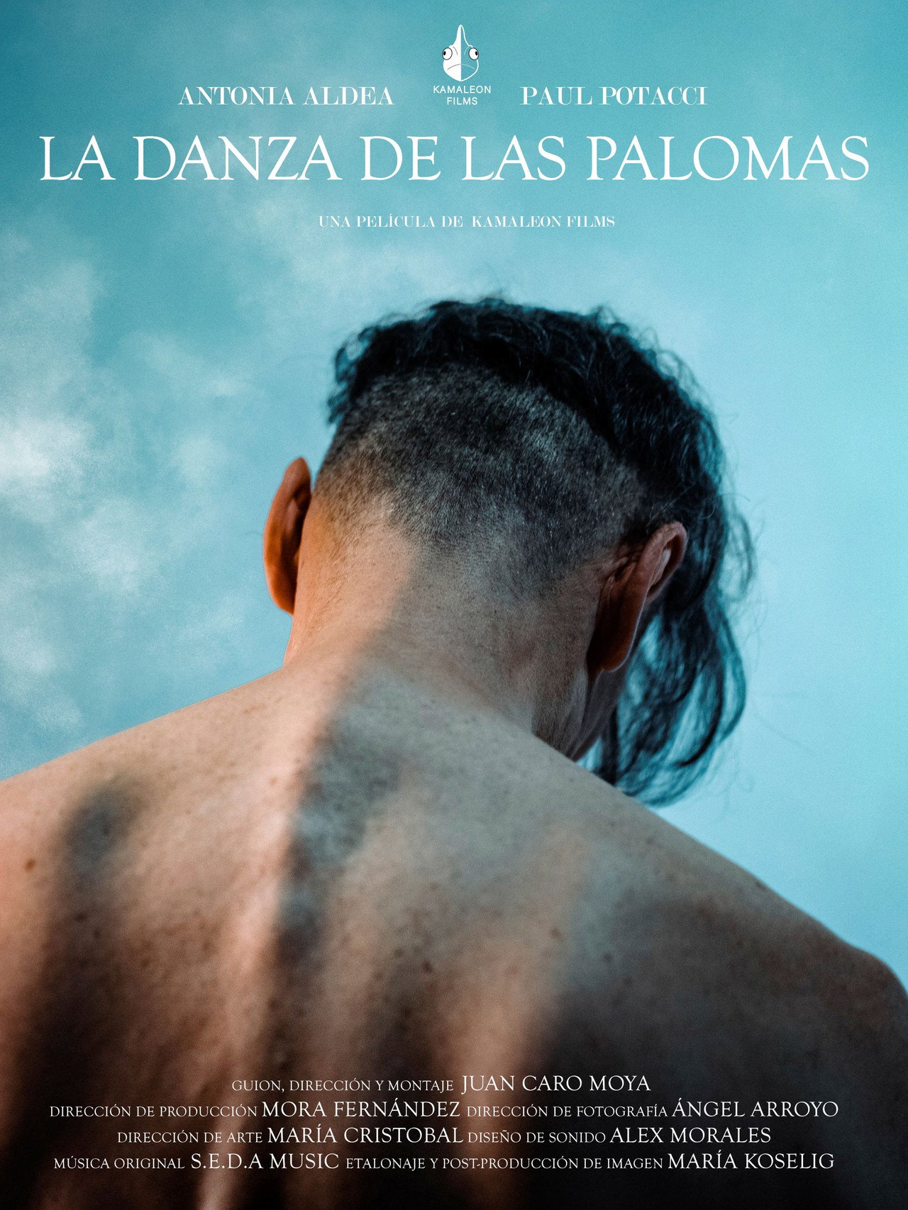La danza de las palomas